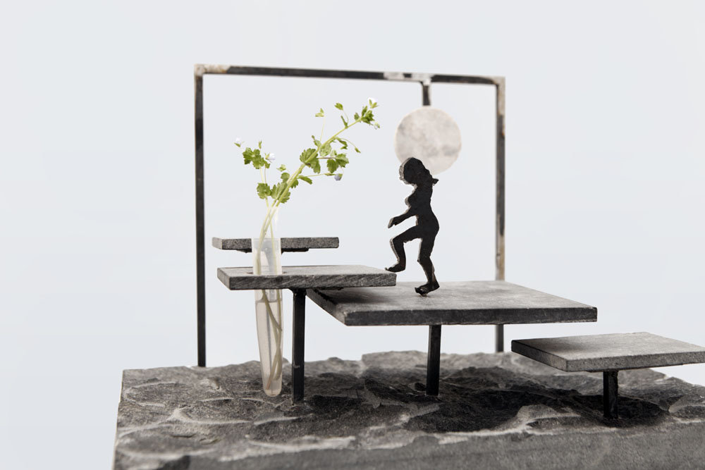 Il giardino per la luna 02
